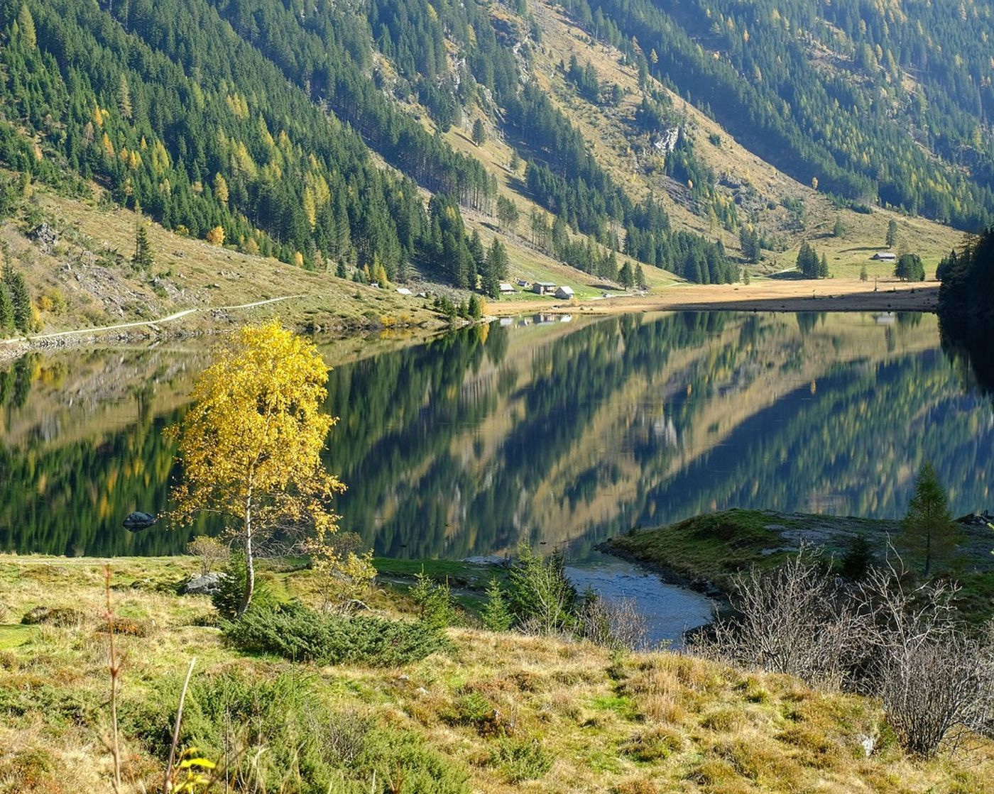 Orilla del lago de montaña
